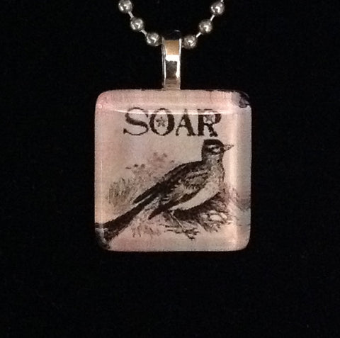 soar